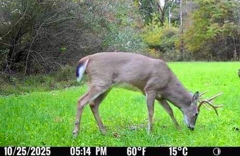 8300B7F5-704C-4D3E-B07D-9B9D0A4E009C_4_5005_c