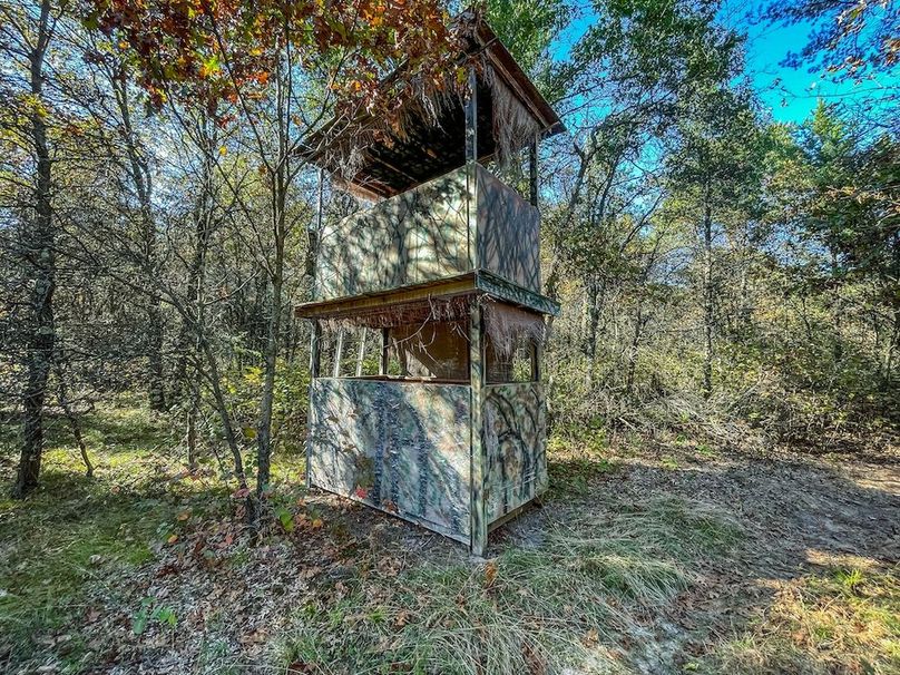 Juneau 27 Wiesner -086