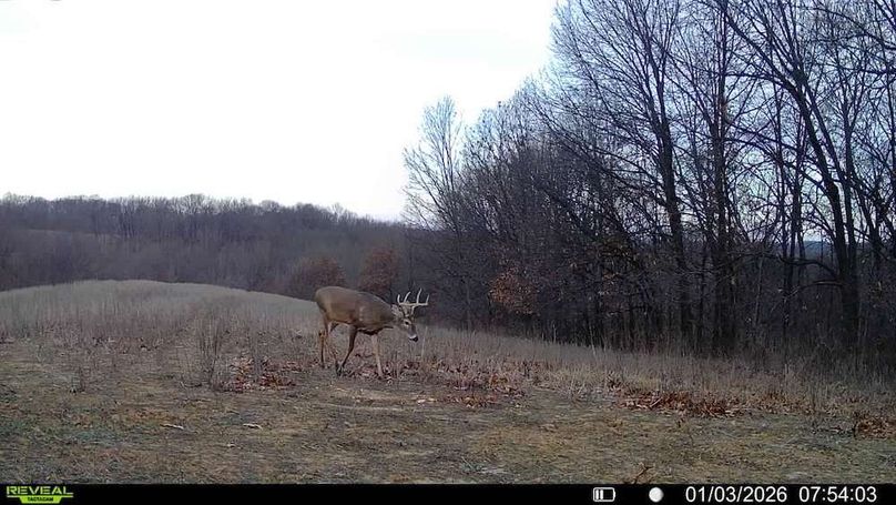 016578002606256-31-4-01032026075403-V-SYFW08203