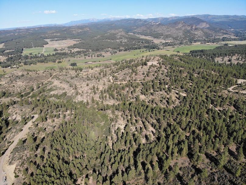 Copy of DJI_0392 (1)