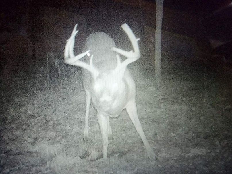 EB10DAFC-E29F-4A26-B425-DD2A5694D049