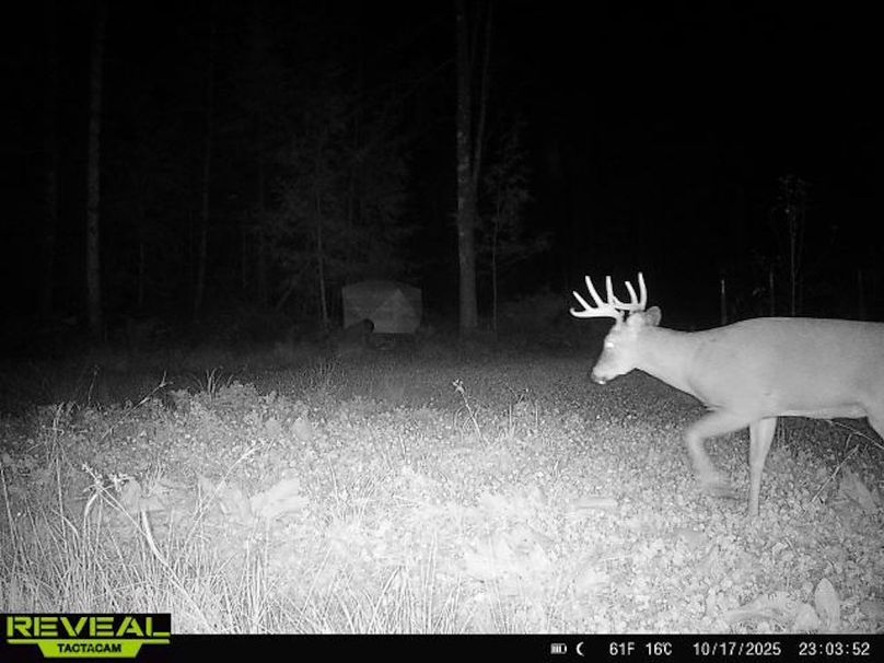 865814048724973-50-2-10172025230352-W1015664