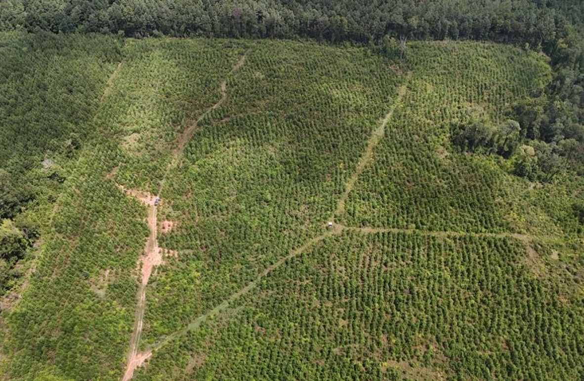 DJI_20250727011542_0523_D