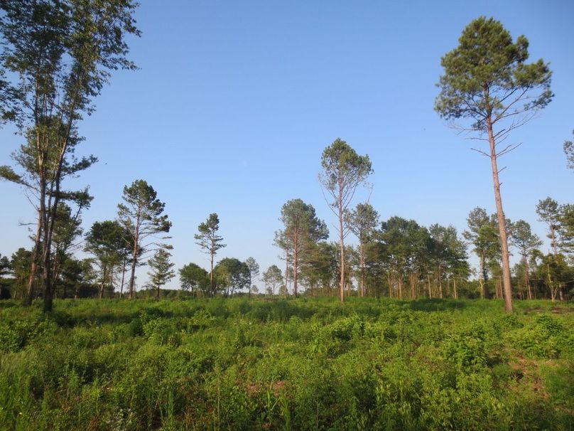 6C259314-30E2-4FF9-9AC5-8CD87EAFA07A_1_105_c