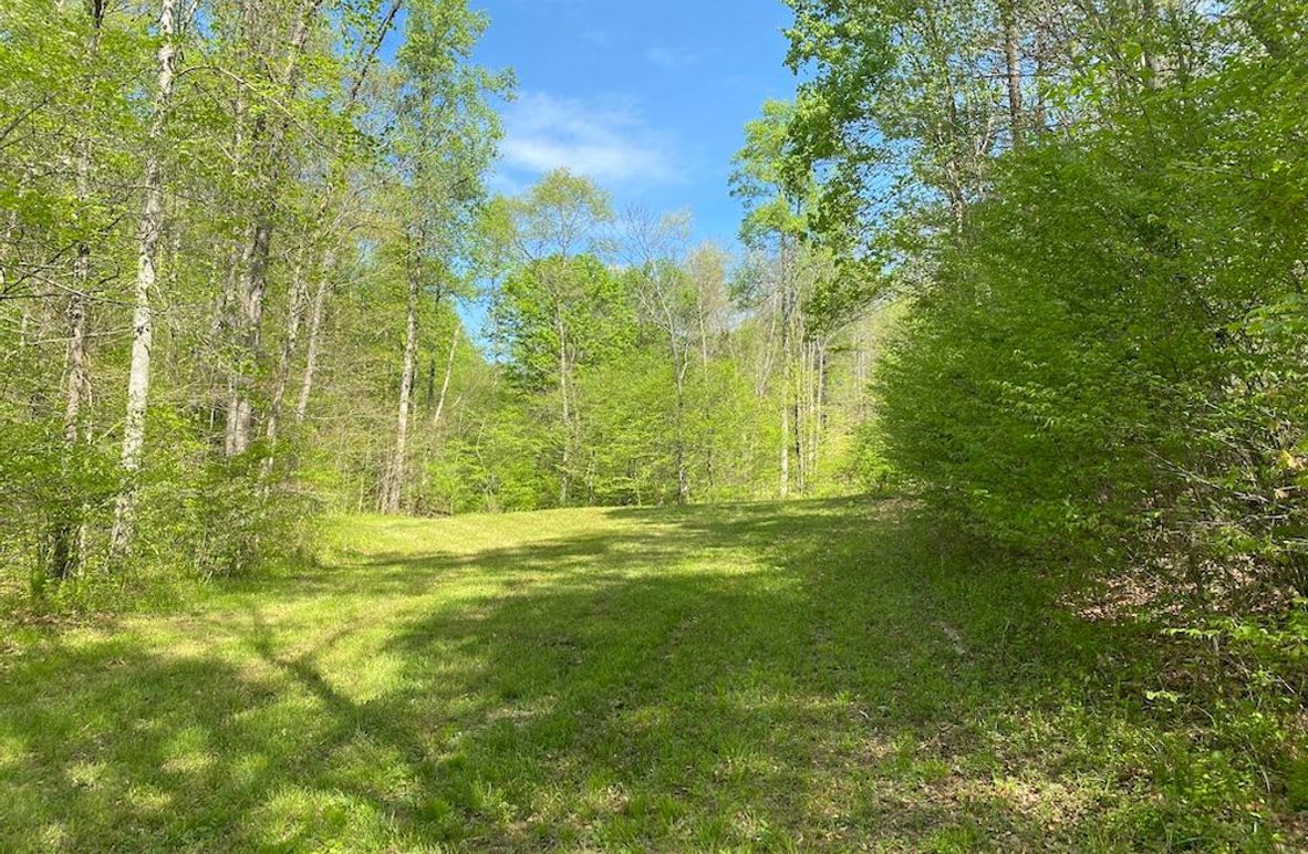 002 view of one of the fields in the bottom of the valley copy