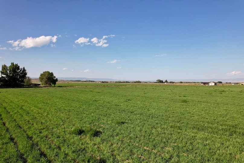 84E2CF17-CCF9-45E1-A1FD-881EBE7CCEDE_1_201_a