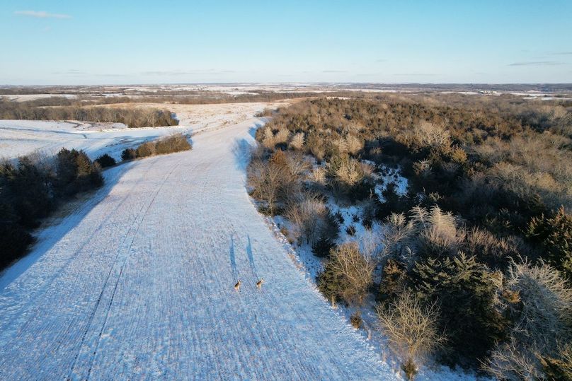 DJI_0478