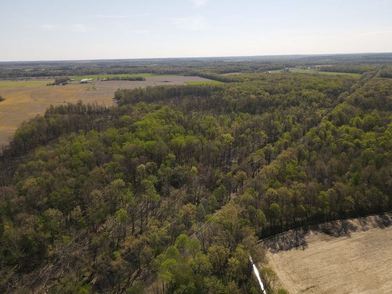 dji_fly_20260408_110136_66_1775660616399_photo