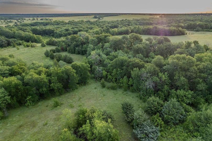 Fannin County- Pecan Ridge (50 of 53)