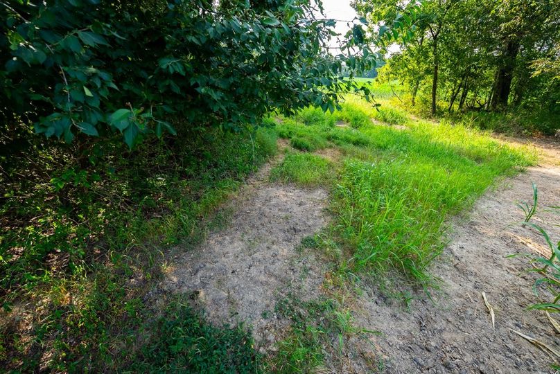 Copy of DSC06216 Large