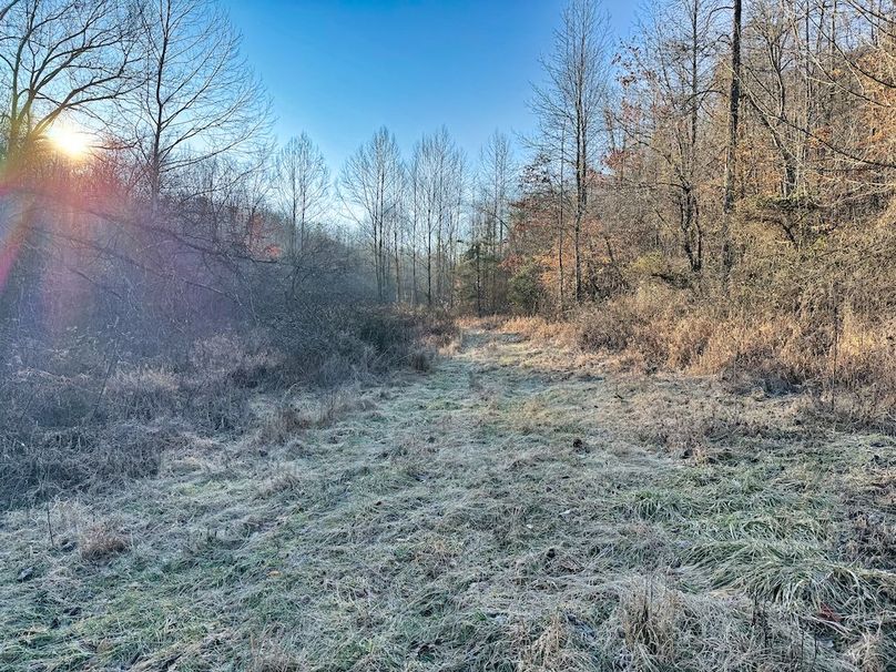 042 nice thick bedding cover and brows