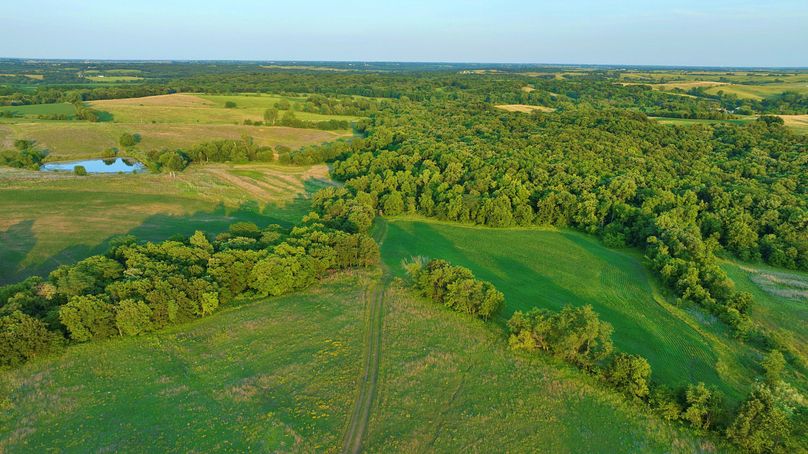 Harrison MO 480 Pro Photo_230 (10)