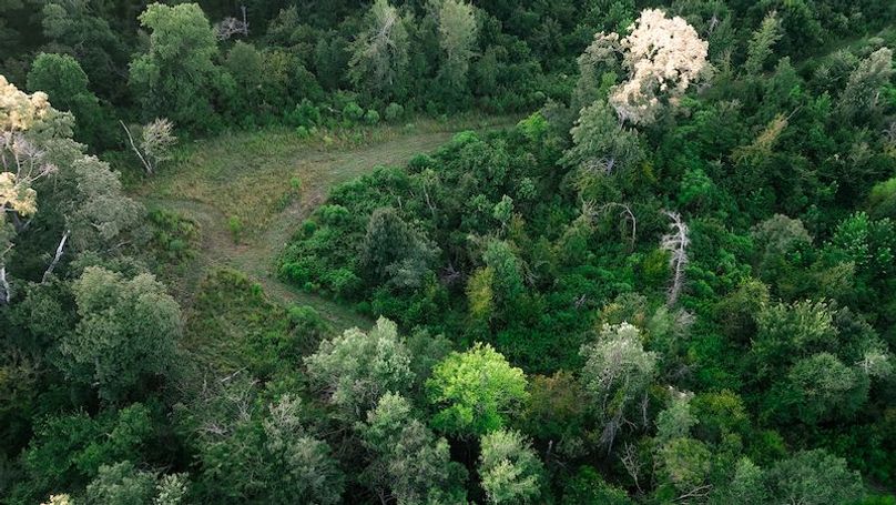 Hinds Co - 78 - Newman-35