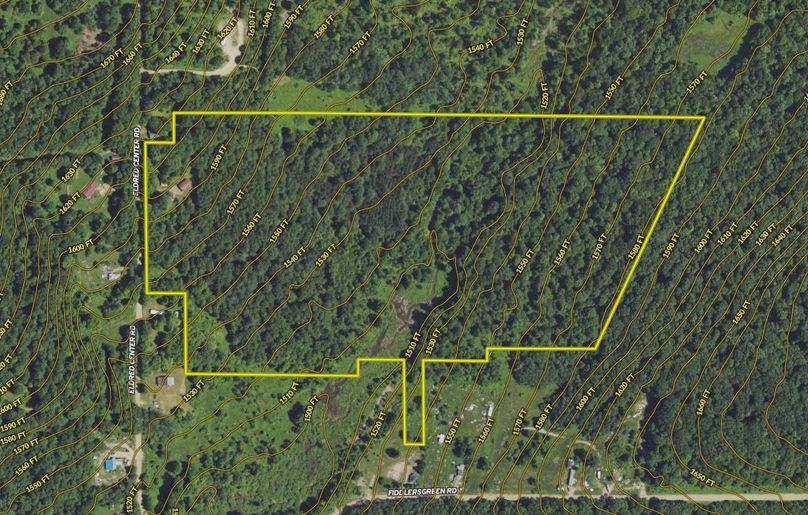 Screen Shot 2024-06-03 at 4.31.39 PM