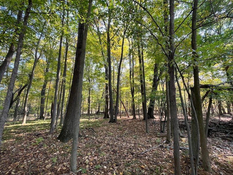 Yates_29_Stape Photo 9a