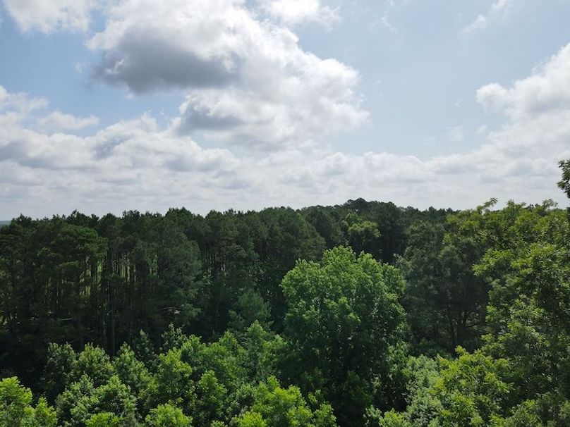 DJI_0336