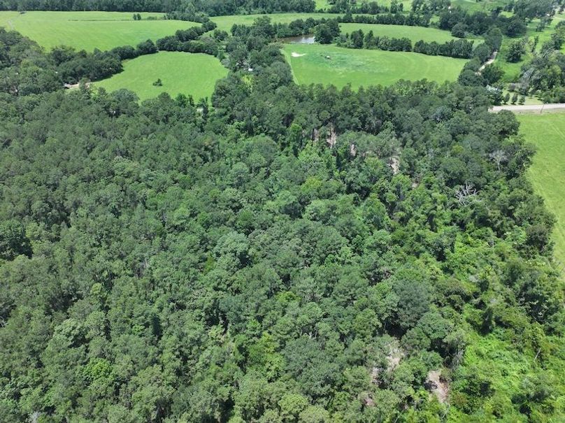 dji_fly_20250708_130002_0260_1752089862161_photo