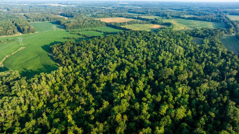 Copy of DJI_20250807182253_0055_D Large