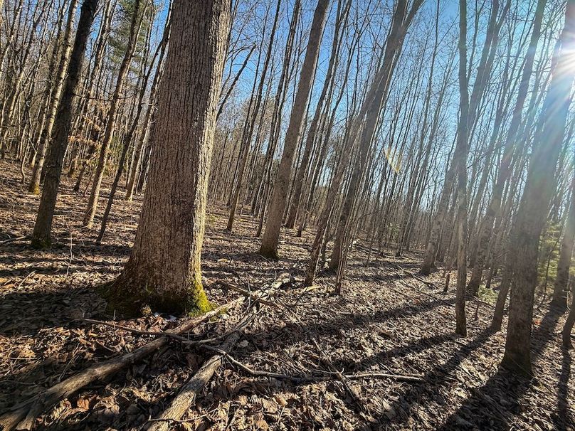 Oswego_16.32_Phillips Photo 25