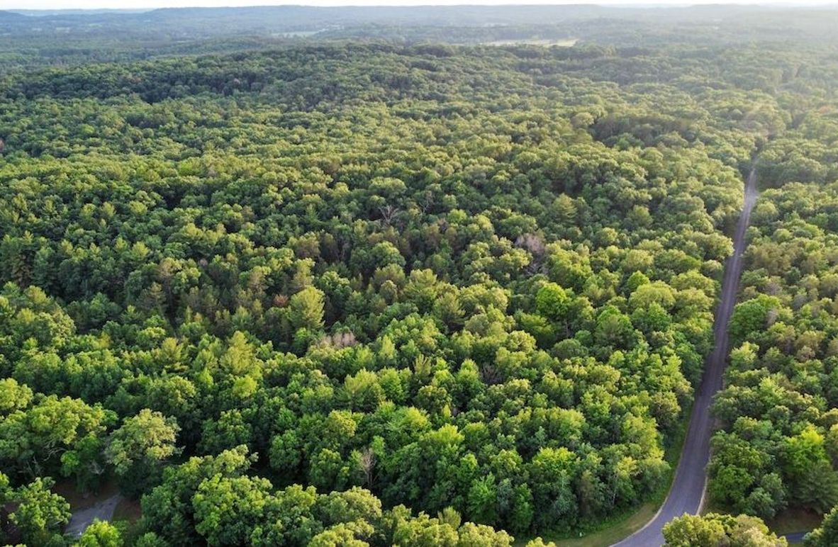 dji_fly_20250624_195320_884_1750813917061_photo_optimized