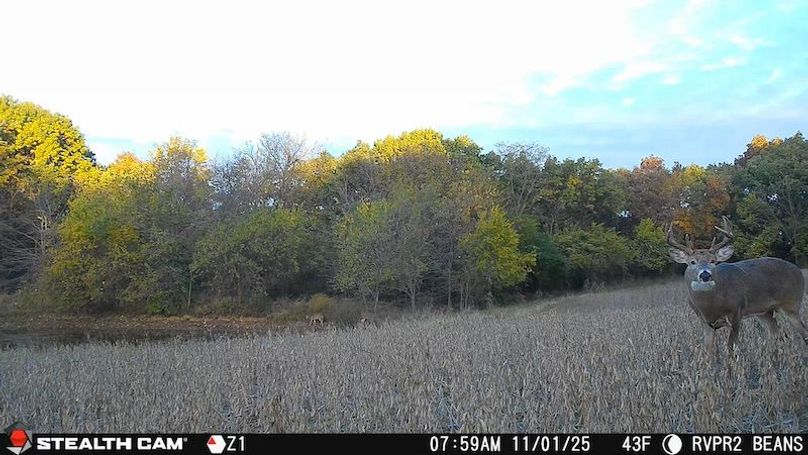 2025110107594901001367_ColorizationType.none