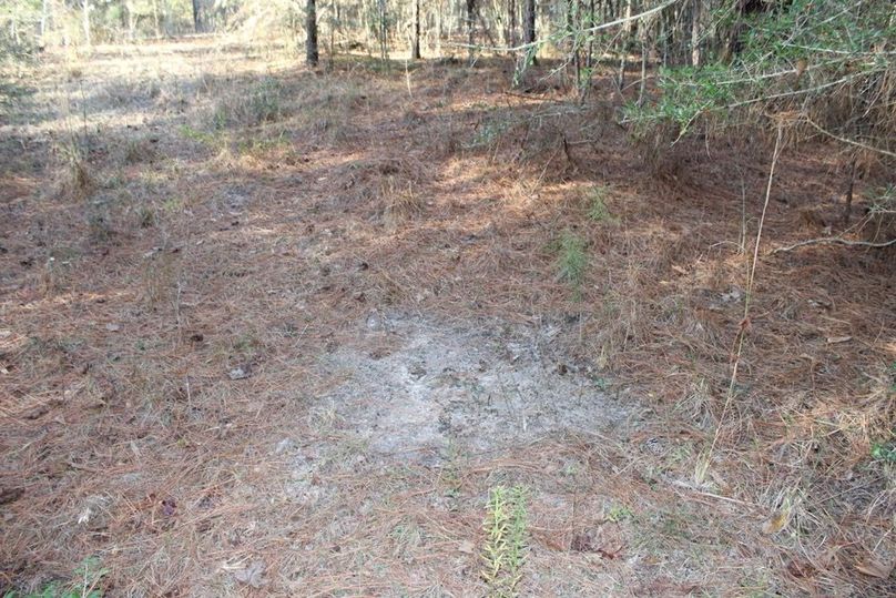 8A5DAFBB-004D-42A0-B653-ECCD96B32B41_1_105_c-2