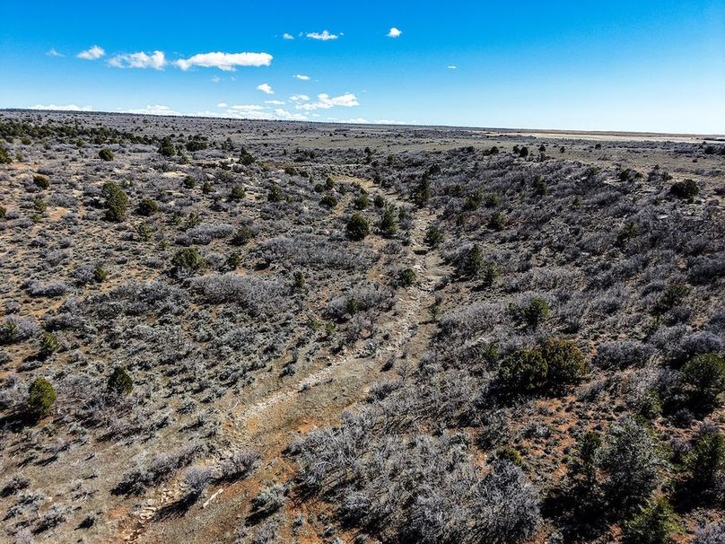 DJI_20260303122552_0060_D