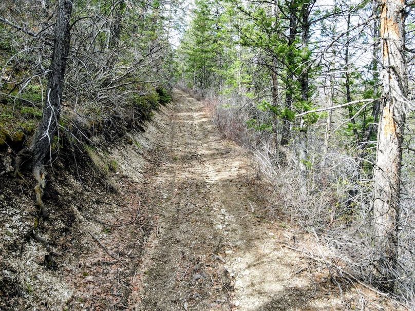 dji_fly_20260410_101126_474_1775841241820_photo~2