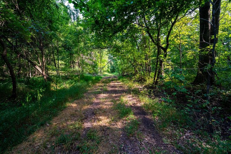 Copy of DSC06206 Large