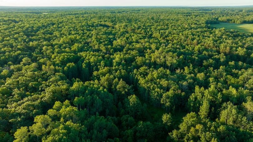 Cass MN 1095 Featured ProPhoto-81