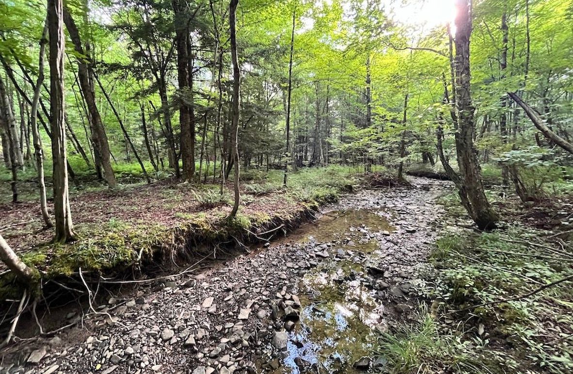 Chemung_77.71_Gutchess_Lumber_5