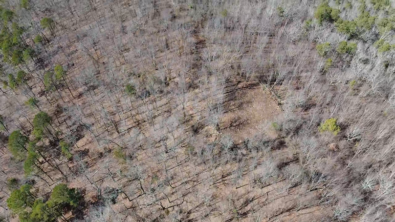 2024-02-13-12-23-52-808