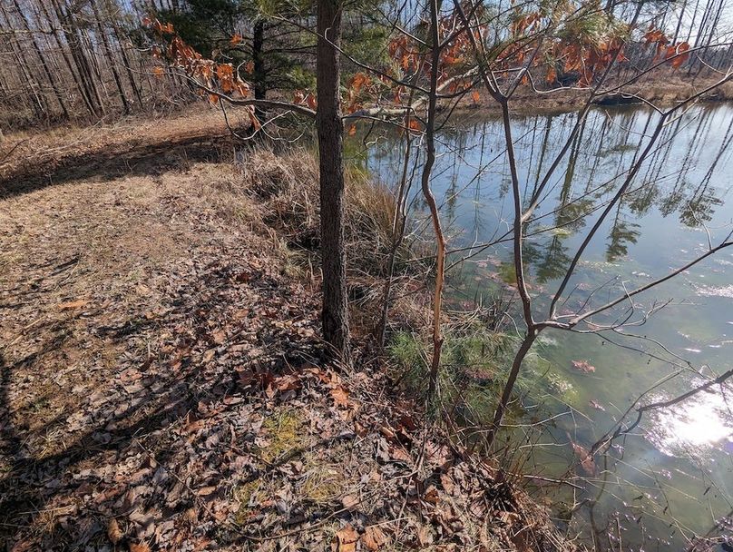 PXL_20240223_164537749