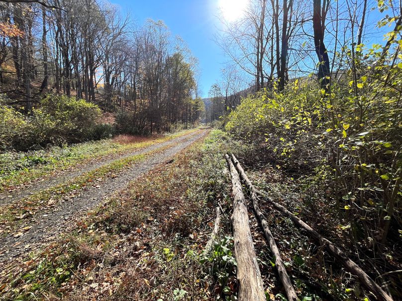 Schuyler_25.155_Ennis_Photos_18