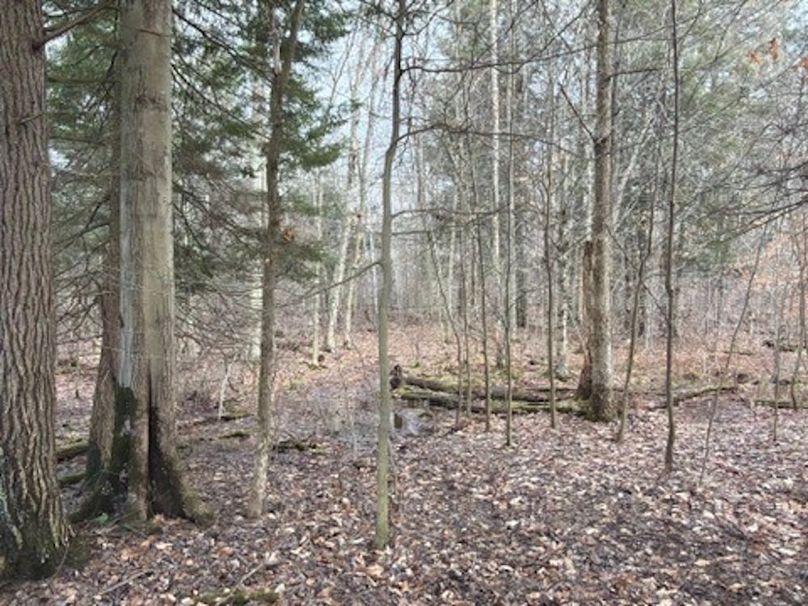 4F4F94C7-1531-453B-BAA9-44316A907EE3_4_5005_c