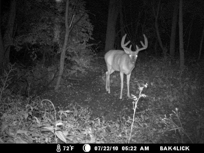 Deer Cam Tracker Pic. 1028
