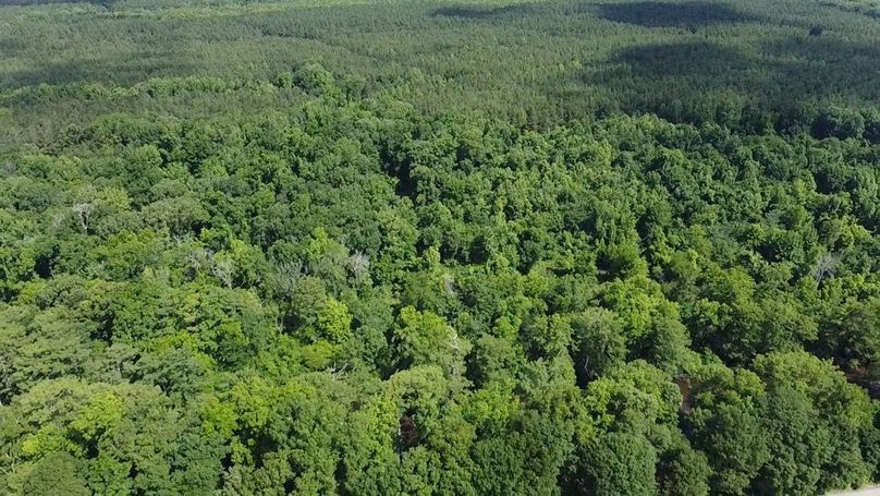 2024-06-01-10-33-09-932