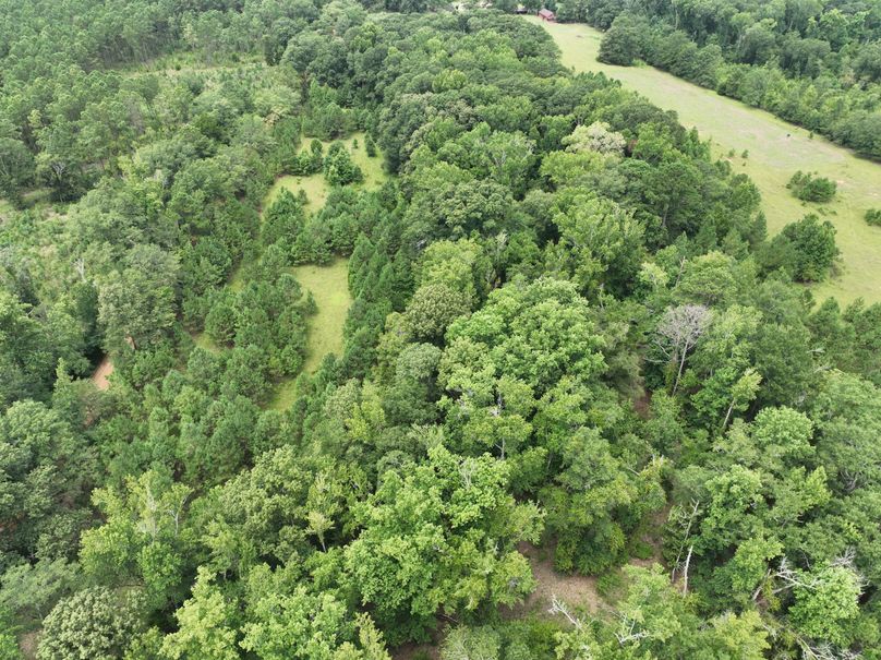 dji_fly_20230803_122406_479_1691080513323_photo