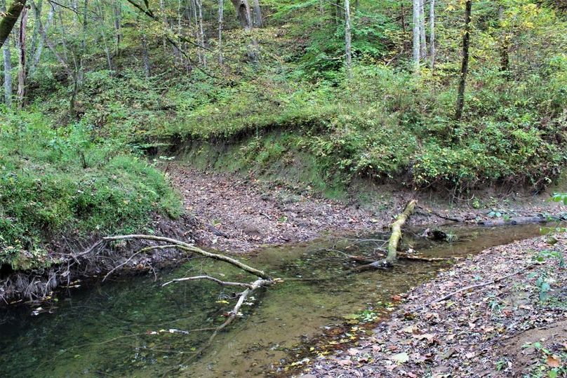 028 Rock Lick Creek feeding in from the south along the west boundary