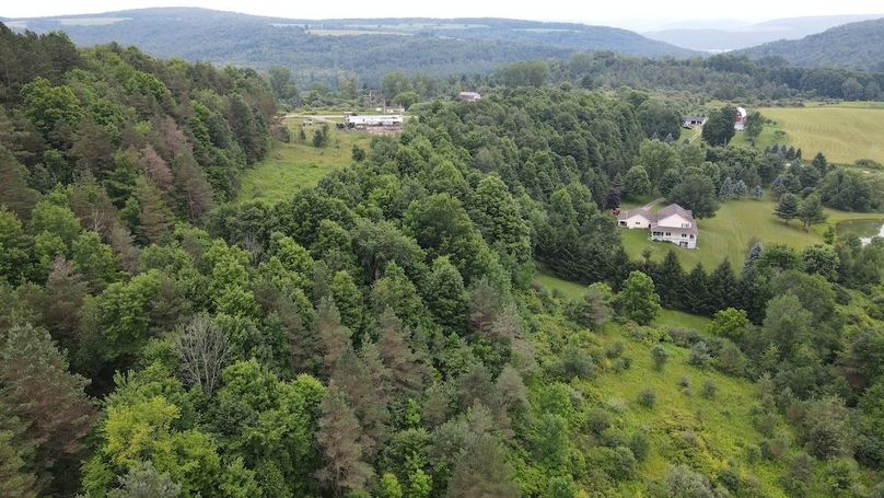 5 dji_fly_20250630_160310_72_1751313813901_photo