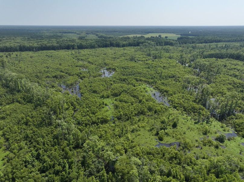 DJI_20250627103051_0116_D