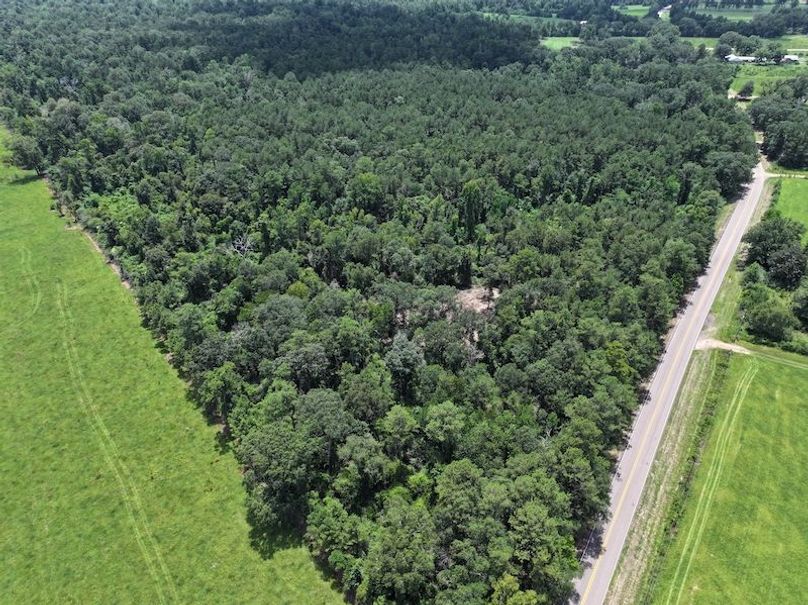 dji_fly_20250708_125916_0258_1752089862864_photo