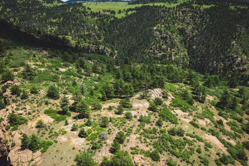 Teller Co 243.32 Kief - 09 Plateau