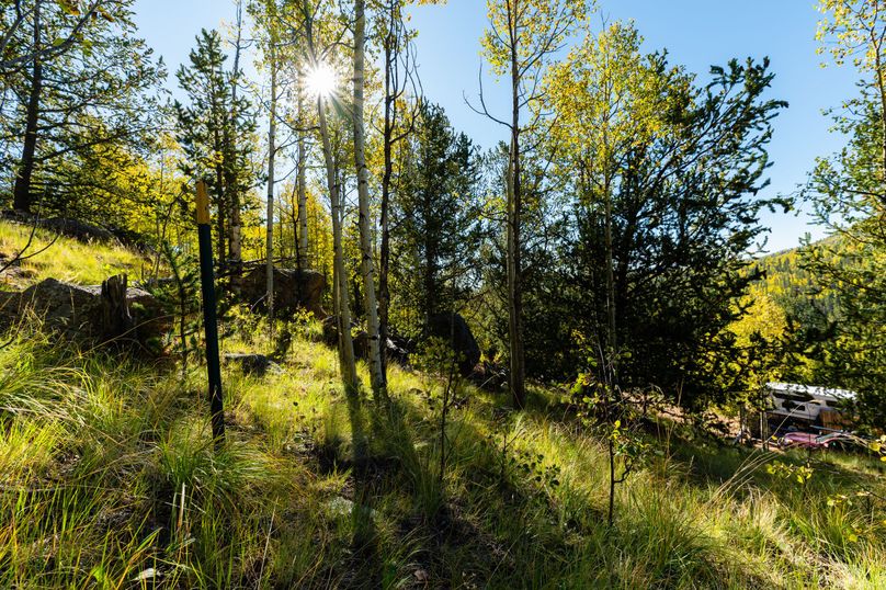 Teller Co 4.65 Thomas - 010 Aspens