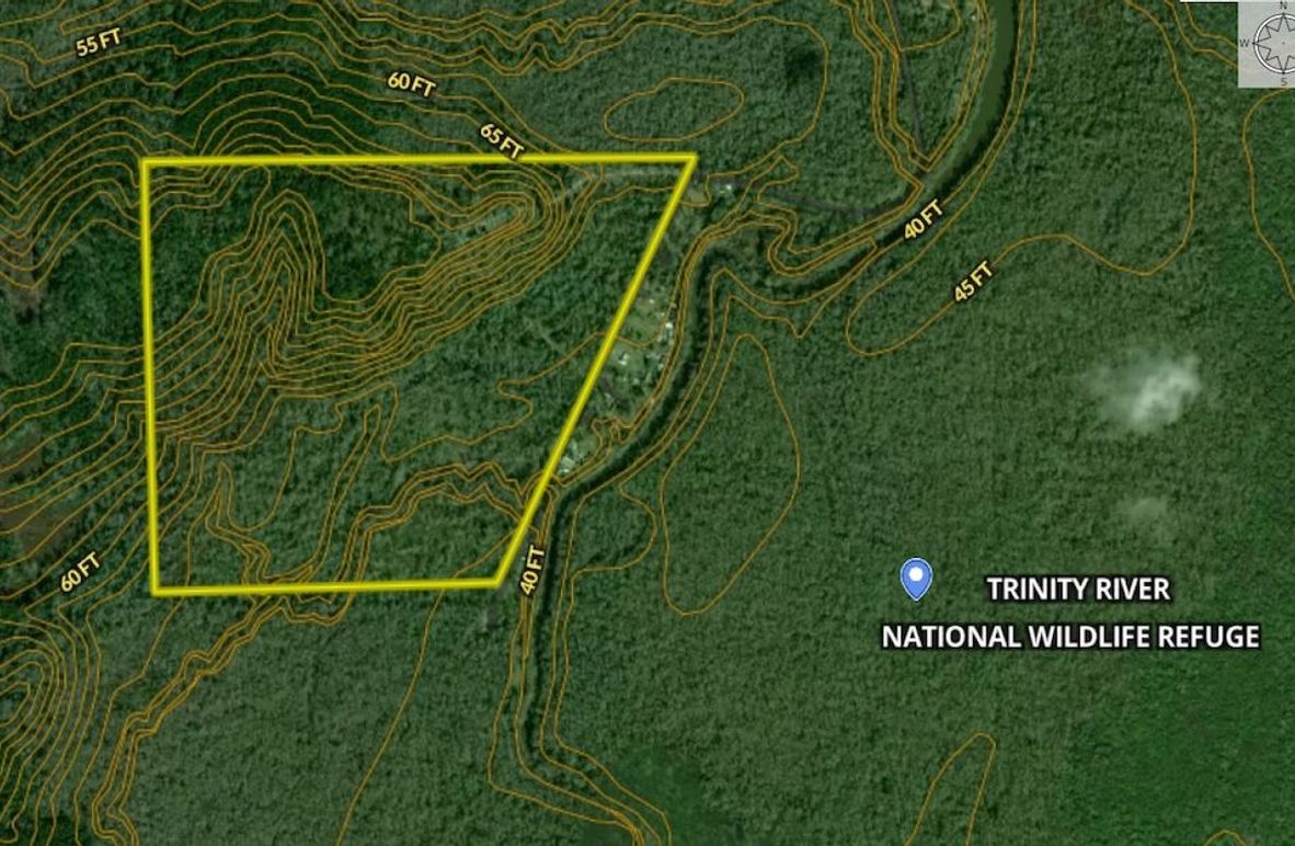 Screenshot 2025-08-22 100547