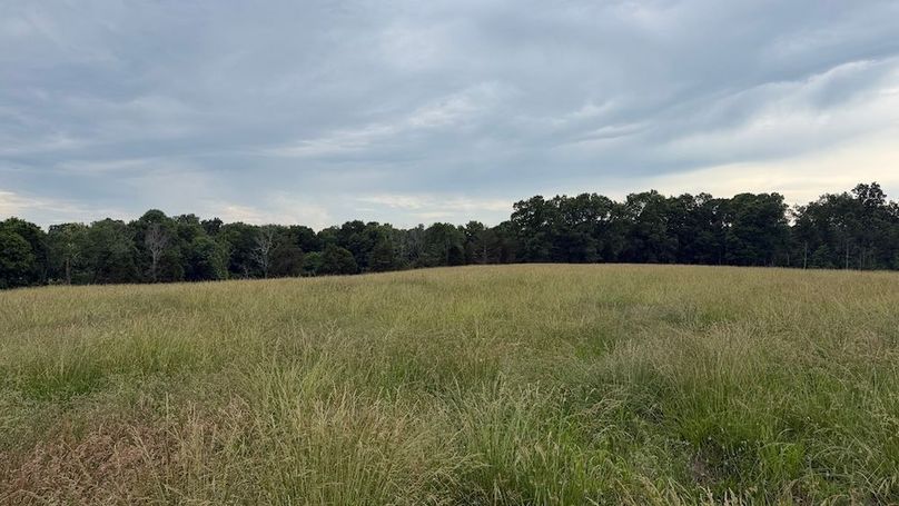 IMG_4456