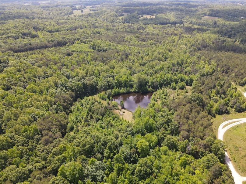 DJI_0491