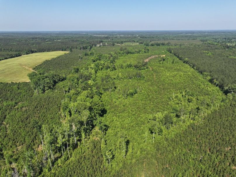 DJI_20260518100850_0920_D
