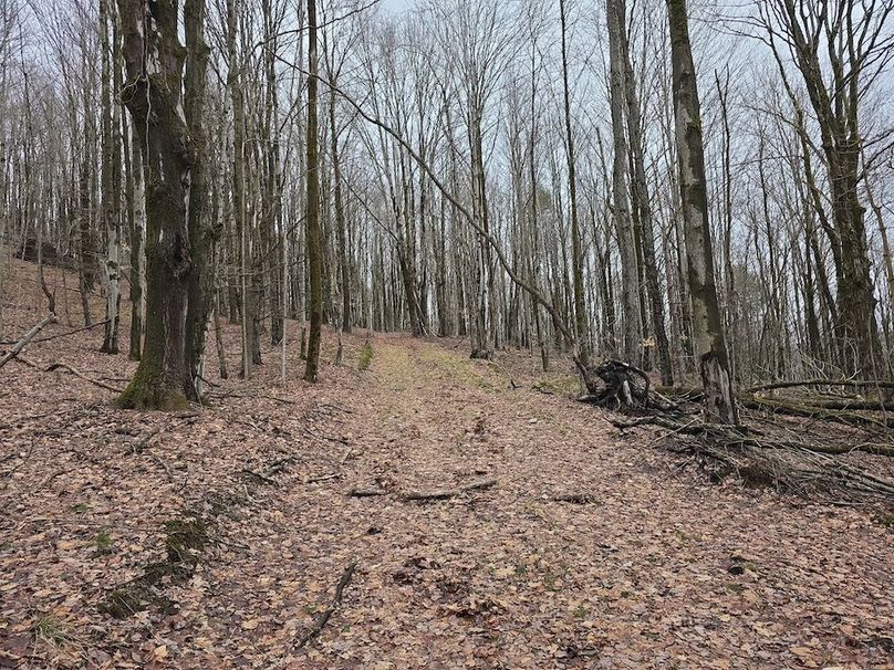 photo_a9525c61-a216-4d92-888d-ee0a0aa2dcfb