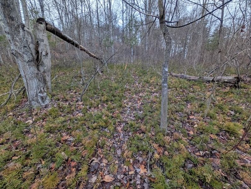 PXL_20260107_211105433